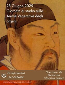 Le Anime Vegetative degli Organi - 28 Giugno 2025